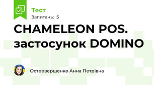 CHAMELEON POS. застосунок DOMINO