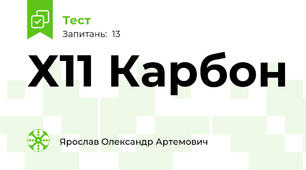  Х11 Карбон