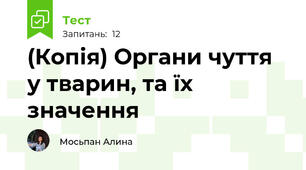 (Копія) Органи чуття у тварин, та їх значення