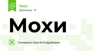Мохи