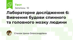 Лабораторне дослідження 6: Вивчення будови спинного та головного мозку людини
