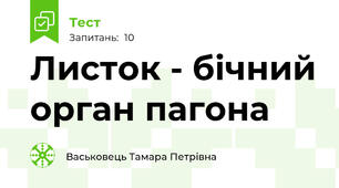 Листок - бічний орган пагона