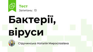 Бактерії, віруси