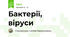 Бактерії, віруси