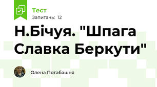 Н.Бічуя. "Шпага Славка Беркути"