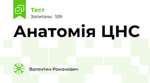 Анатомія ЦНС 