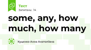 some, any, how much, how many