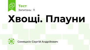 Хвощі. Плауни