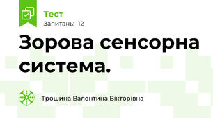 Зорова сенсорна система. 