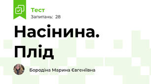 Насінина. Плід 