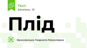 Плід