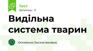 Видільна система тварин