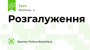Розгалуження