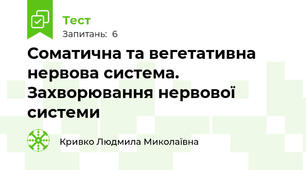 Соматична та вегетативна нервова система. Захворювання нервової системи