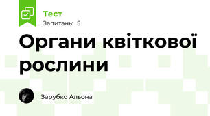 Органи квіткової рослини