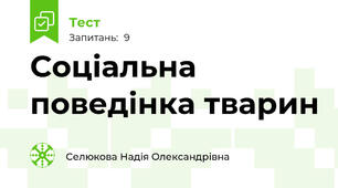 Соціальна поведінка тварин