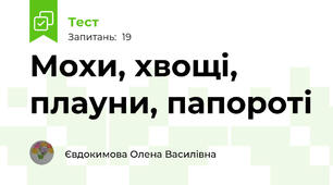  Мохи, хвощі, плауни, папороті