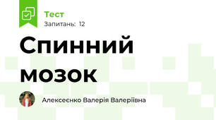 Спинний мозок