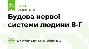 Будова нервої системи людини 8-Г