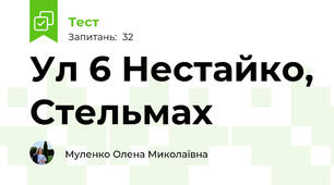 Ул 6 Нестайко, Стельмах