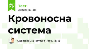 Кровоносна система