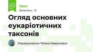 Огляд основних еукаріотичних таксонів