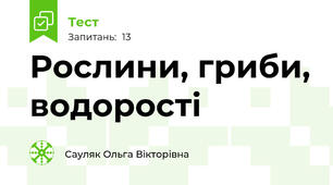 Рослини, гриби, водорості