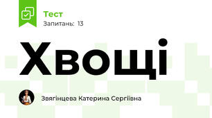 Хвощі