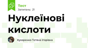 Нуклеїнові кислоти