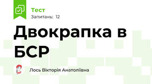  Двокрапка в БСР