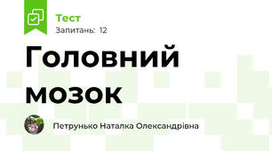 Головний мозок