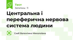 Центральна і переферична нервова система людини