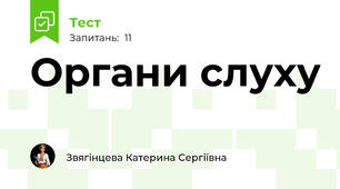  Органи слуху