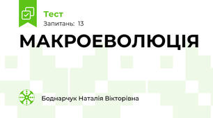 МАКРОЕВОЛЮЦІЯ