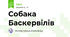 Собака Баскервілів