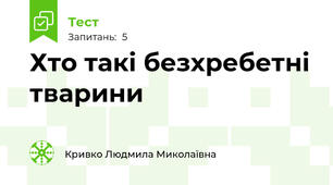 Хто такі безхребетні тварини