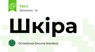 Шкіра