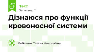Дізнаюся про функції кровоносної системи