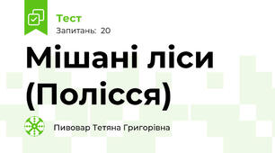  Мішані ліси (Полісся)
