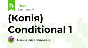 (Копія) Conditional 1
