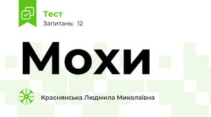 Мохи 