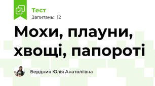 Мохи, плауни, хвощі, папороті