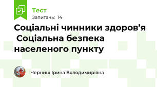   Соціальні чинники здоров’я   Соціальна безпека населеного пункту 