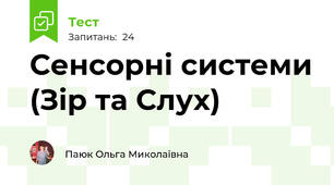 Сенсорні системи (Зір та Слух)
