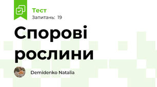 Спорові рослини