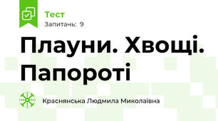 Плауни. Хвощі. Папороті