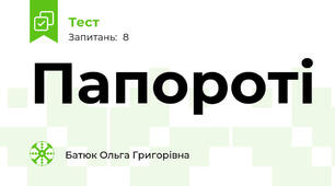 Папороті