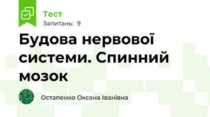 Будова нервової системи. Спинний мозок