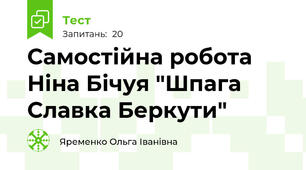 Самостійна робота Ніна Бічуя "Шпага Славка Беркути"