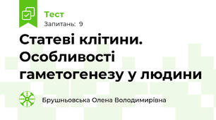 Статеві клітини. Особливості гаметогенезу у людини
